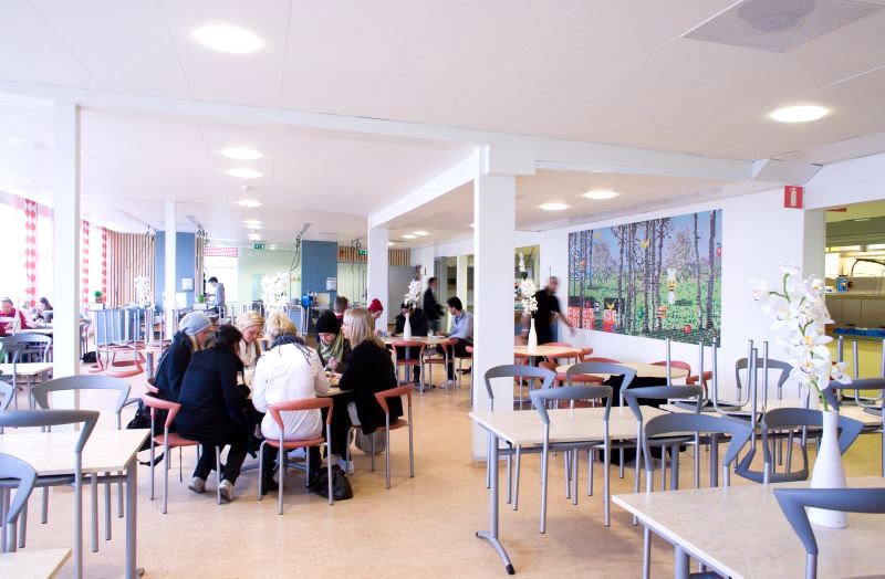 mosaik, bromma gymnasium, Kristoffer Zetterstrand. Mosaics
