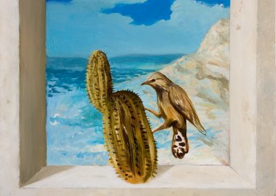 Cactus Bird
